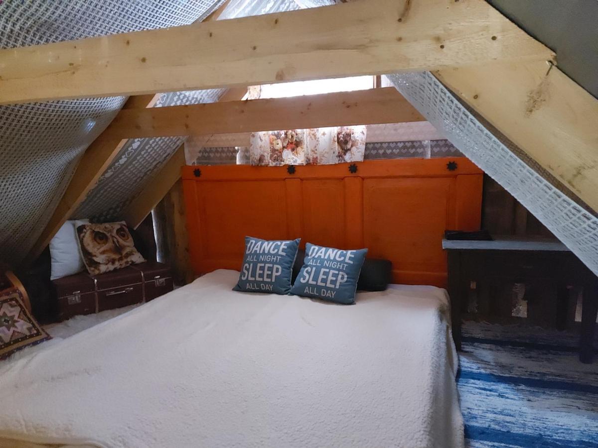 Hotel Intsu Suvemaja Liiva  Exteriér fotografie